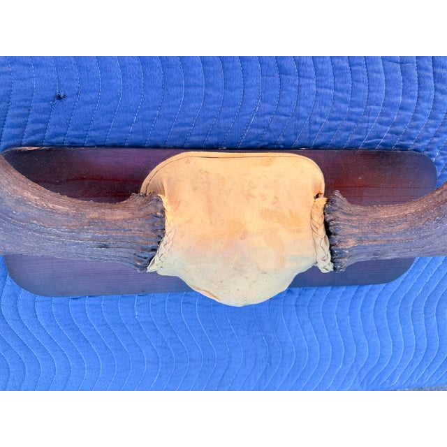 Extra Large Vintage Moose Antler Wall Mount For Sale In San Francisco - Image 6 of 8