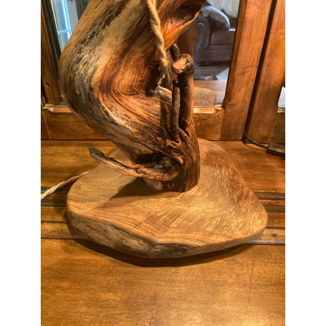 Tree Table Lamp With Live Edge Base and Root Upper. For Sale - Image 12 of 16