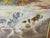 Antique English Watercolor of a Setter and Pointer Dog For Sale - Image 4 of 18