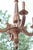 Wood French Neoclassical Five-Light Carved Wood Chandelier with Aged Gold Finish, 1950 For Sale - Image 7 of 8