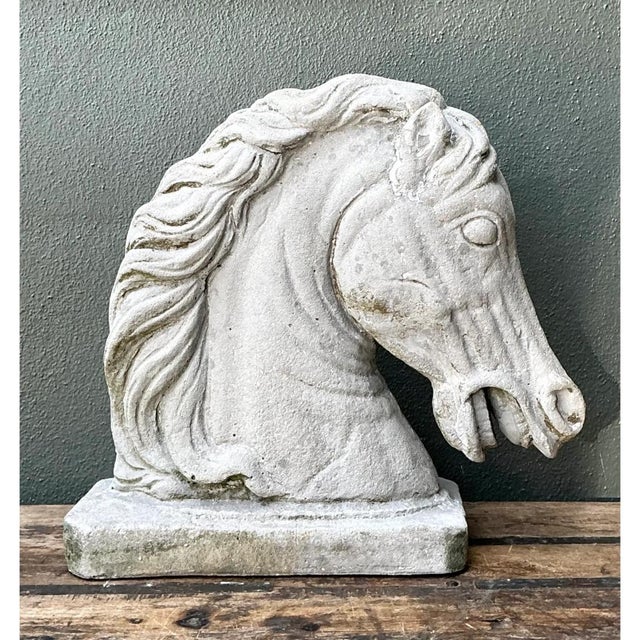 Vintage Cement Equestrian Bust For Sale In West Palm - Image 6 of 12