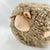 Plush Lambskin Sheep Ball - Beige For Sale - Image 4 of 5