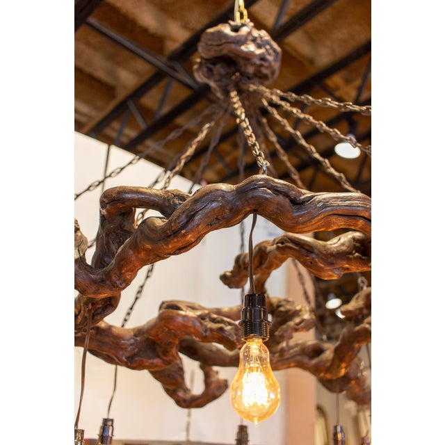 Antique French Grapevine And Chain Chandelier With Edison Bulbs Chairish