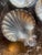 Vintage Silver & Glass Shell Caviar Dish Set - 7 pcs For Sale - Image 18 of 18