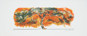 Gerard Diaz, African Acacia, Lithograph