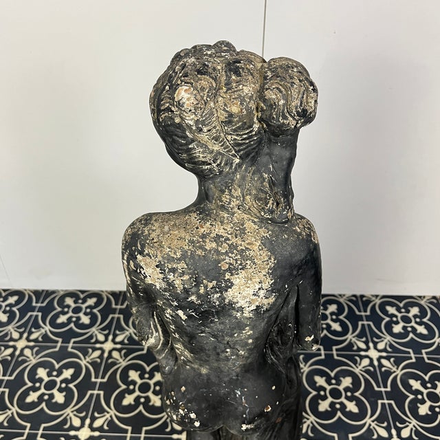 19th Century Venus Italica Ebonised Garden Statue For Sale - Image 14 of 15