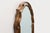 Gold Arched Gold-Leaf Mirror with Marbled Glass Border from Deknudt, Belgium, 1950s For Sale - Image 8 of 13