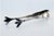 Silver Ice Tongs in the Shape of Claws For Sale - Image 6 of 9