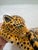 Lynn Chase Designs Jungle Party Collection Jaguar Money Bank, Circa 1988 For Sale - Image 12 of 12