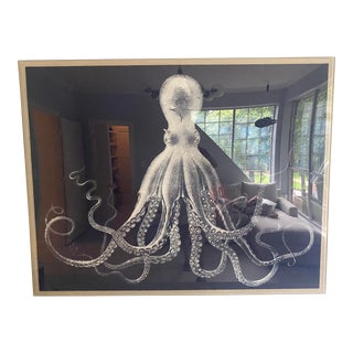Jonathan Adler Lord Bodner Print, Framed For Sale