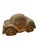Wood Vintage Hand Carved Wooden Car Sculpture in the Style of a Volkswagen Beetle For Sale - Image 7 of 12