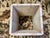 Stone 20th Century Travertine Side Table For Sale - Image 7 of 12