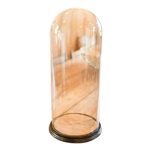 1870's Tall Victorian Antique Taxidermy Specimen Dome