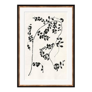 Clematis Vine II by Susan Hable For Sale