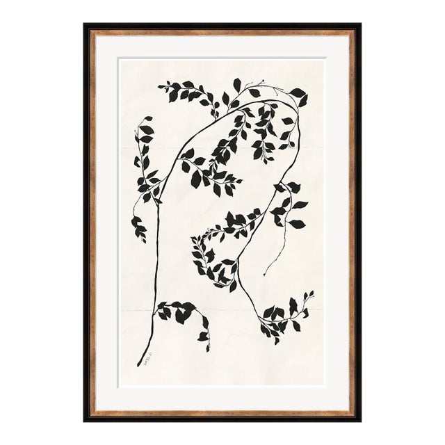 Clematis Vine II by Susan Hable For Sale