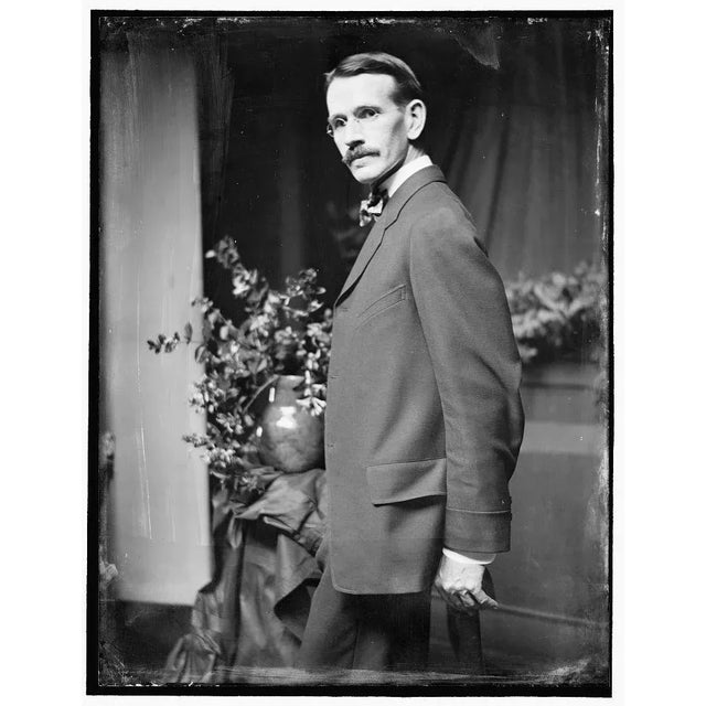 'Lida and the Swan' by Arthur B Davies, New York Armory Show, Ashcan School, New York Museum of Modern Art, Los Angeles County Museum of Art For Sale - Image 11 of 12