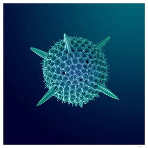 Super Hex Radiotarian Photograph