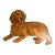 Vintage Original Painting Golden Retriever Dog For Sale