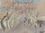 Row of plane trees in winter - maussane-les-alpilles', provence, watercolour and pencil on art paper, by yves brayer...