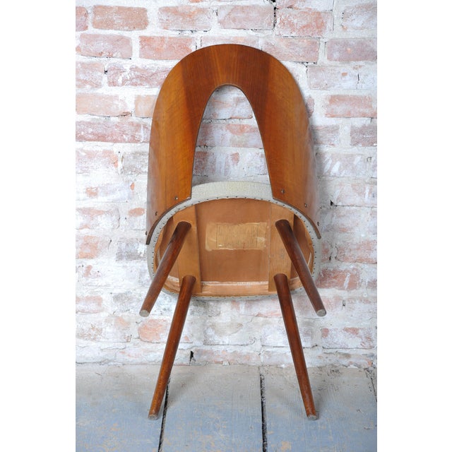 Mid-Century Chairs in Walnut attributed to Antonín Šuman, Czech, 1950s, Set of 4 For Sale - Image 18 of 18