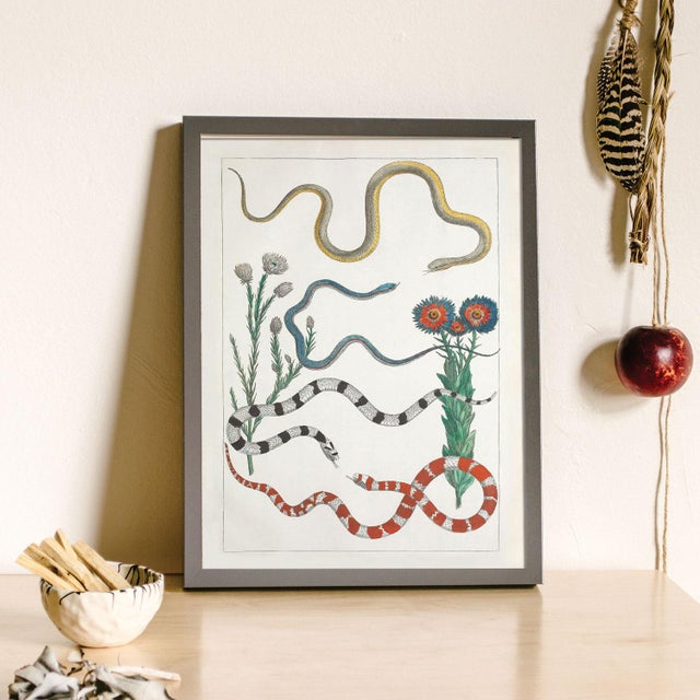 Illustration Colorful Southwest Snakes and Botanical Giclée For Sale - Image 3 of 7