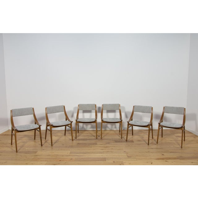 Mid-Century Modern Polish Ski Jumper Chairs from Zamojska, 1970s, Set of 6 For Sale - Image 3 of 18