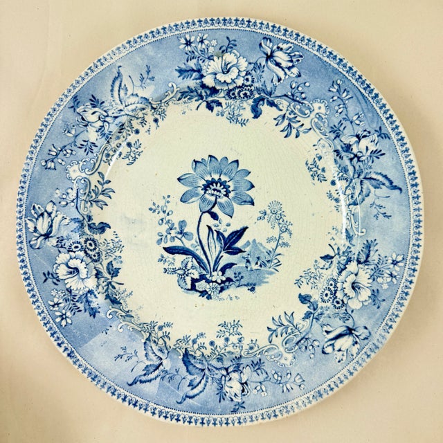 Elkin & Newbon English Botanical Beauties Dinner Plates, Set of Eight For Sale In Philadelphia - Image 6 of 15