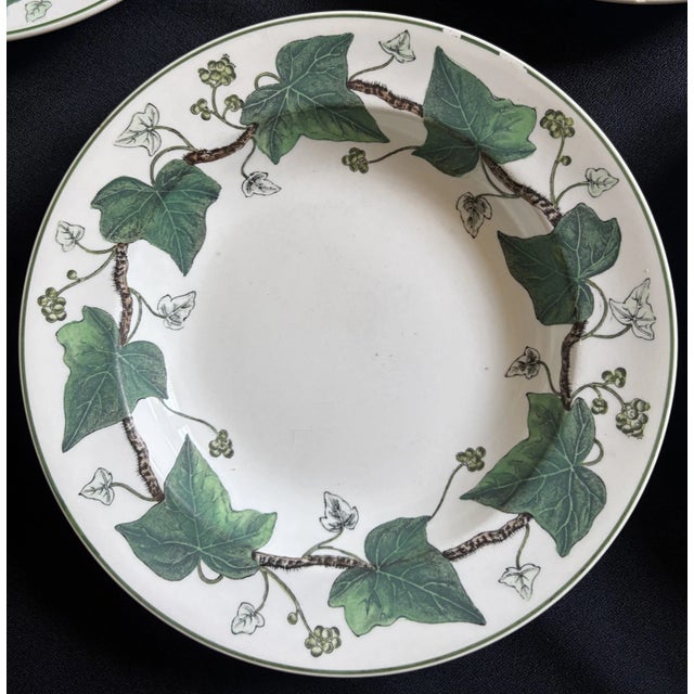 1940s Napoleon Ivy Wedgwood Soup Bowls - Set of 7 For Sale In Los Angeles - Image 6 of 10