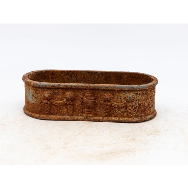 Small Cast Iron Oval Planter, France Early 20th C. For Sale - Image 10 of 10