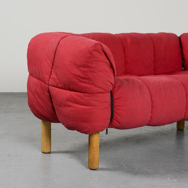 Model Pecorelle Sofa by Cini Boeri for Arflex, 1970s For Sale - Image 11 of 14