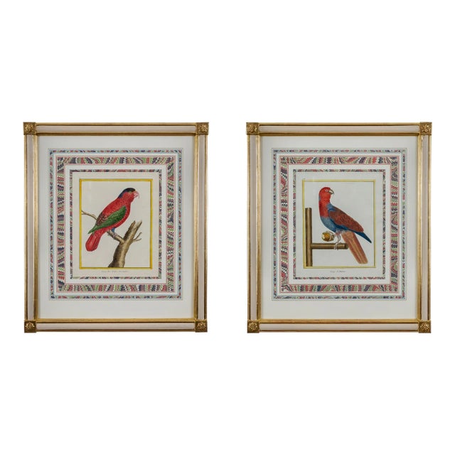 Francois-Nicolas Martinet - Pair Framed Parrot Engravings For Sale