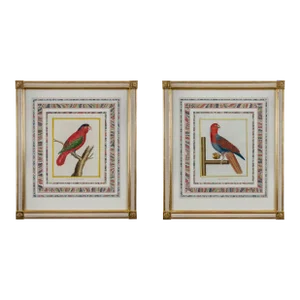 Francois-Nicolas Martinet - Pair Framed Parrot Engravings