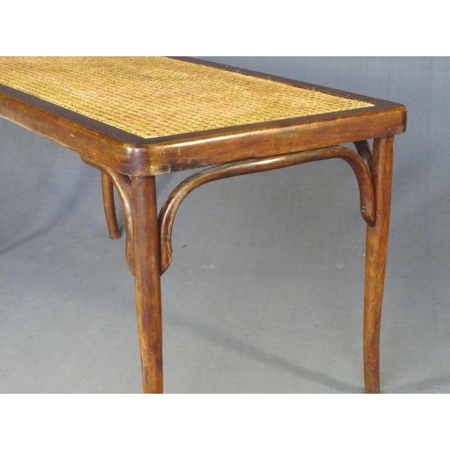 1920s Vintage Bentwood and Cane Bench, 1920 For Sale - Image 5 of 6