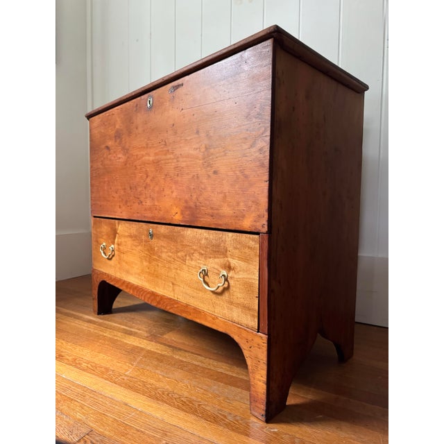 Brown 19th Century Early American Mule Chest For Sale - Image 8 of 11