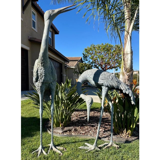Verdigris 1920s Monumental Pair of Life-Size Bronze Crane Garden Sculptures With Verdigris... For Sale - Image 8 of 18