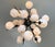 Glass 21st Century Crema Sputnik Chandelier by Fabio LTD For Sale - Image 7 of 7