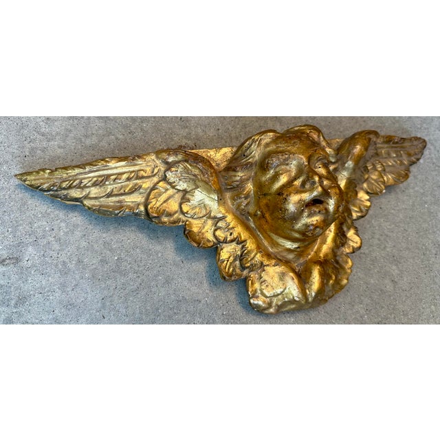 18th Century Italian Carved Giltwood Baroque Winged Angel Cherub For Sale In San Diego - Image 6 of 12