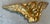 18th Century Italian Carved Giltwood Baroque Winged Angel Cherub For Sale In San Diego - Image 6 of 12