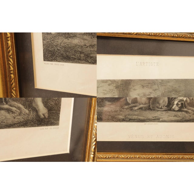 19th C. French Lithograph, 'Venus et Adonis' For Sale - Image 11 of 12