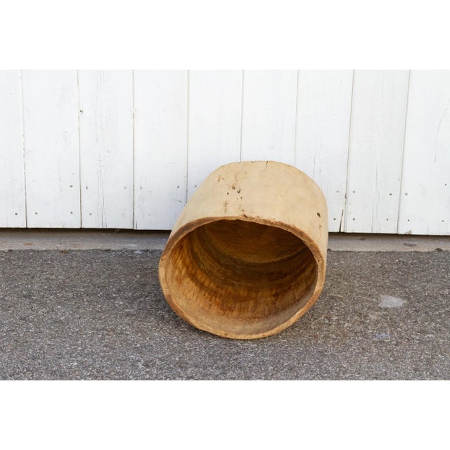 Ecru Tall Bleached Wood Asian Planter For Sale - Image 8 of 10