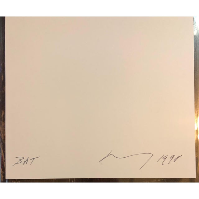 Brenda Zlamany, Birds, Cibachrome Photograph Print, Signed Conceptual Art For Sale - Image 4 of 4
