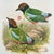 19th Century 19th Century Rare Gould Pattern Pair | Hand-Colored Pitta Lithographs From John Gould’s Birds of Asia - Set of 2 For Sale - Image 5 of 13