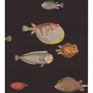 Cole & Son Acquario Wallpaper Roll - Black & Mult For Sale