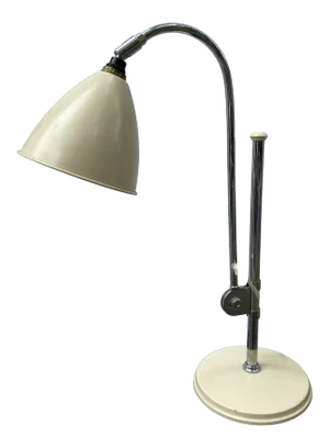 Robert Dudley Best Bl1 Adjustable Table Lamp