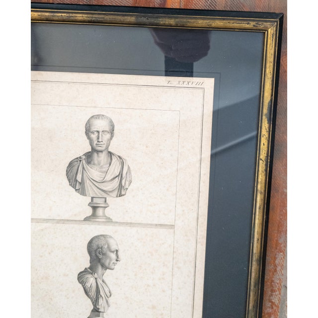 Late 18th Century 18th Century Italian Neo-Classical Engraving Print of Julius Caesar Bust by Giovanni Folo For Sale - Image 5 of 18