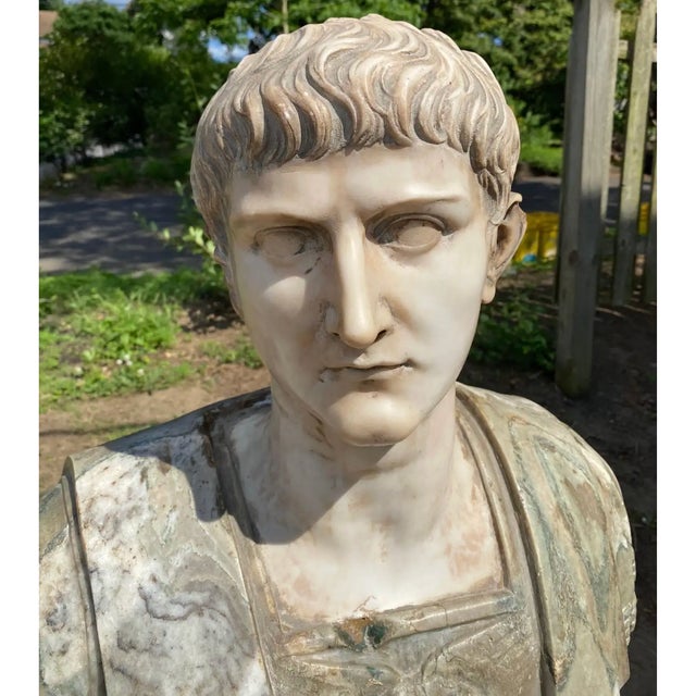 19th Century Italian Neoclassical Style Specimen Marble Busts of Caesars - Set of 2 For Sale - Image 4 of 10