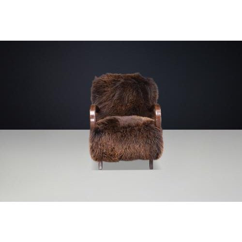 Dutch Sheepskin and Bentwood Lounge Chair from Jindřich Halabala, 1940s For Sale - Image 10 of 13