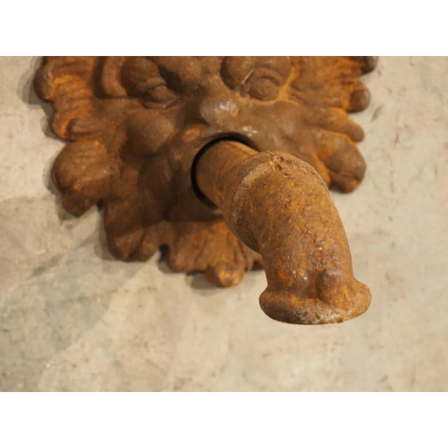 More information coming soon… Dating to the 1900s, this French cast iron mascaron spout backplate has a heavily oxidized...
