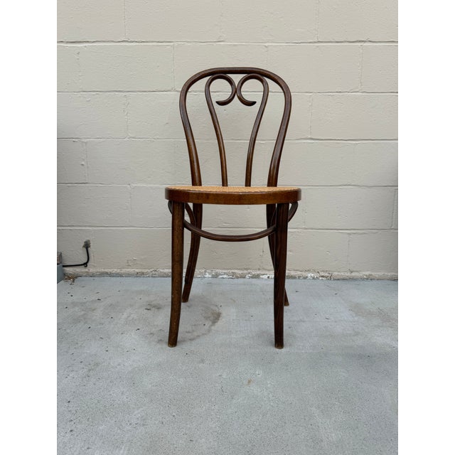 Thonet Vintage Thonet Style Bentwood Chair With Cane Seating For Sale - Image 4 of 11