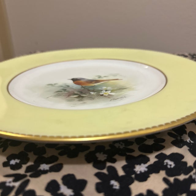 1910s Royal Worcester Hand-Painted Bird Cabinet Plate With Yellow Border For Sale - Image 5 of 7